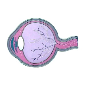 May include: A cross-section illustration of a human eye. The eye is shown in pink, purple, and blue tones. The illustration shows the different parts of the eye, including the lens, iris, and optic nerve.