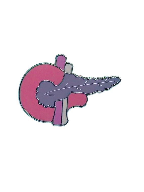 Pancreas Pin Enamel Pin Medical Pin Anatomy Pin | Etsy