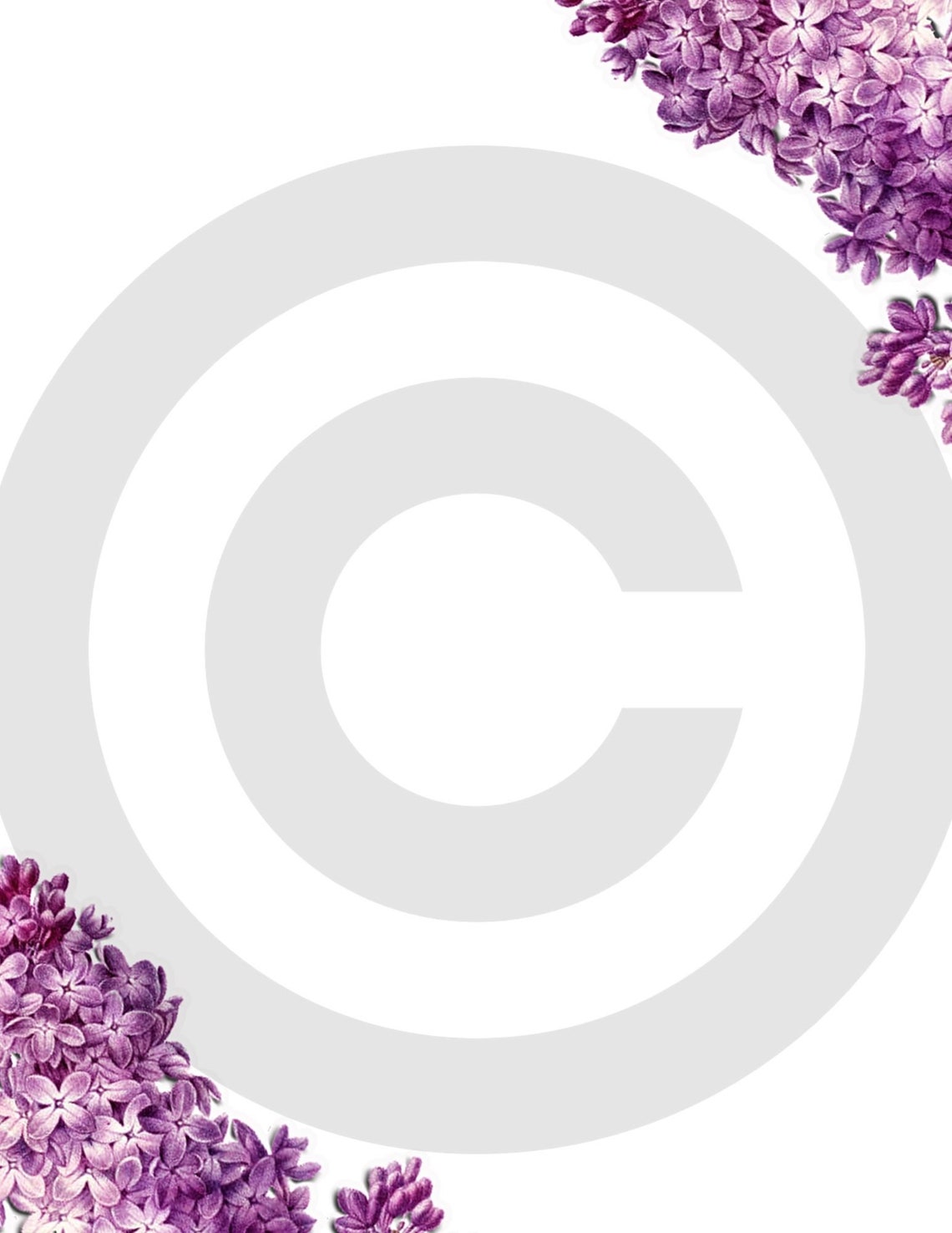 Lilac Flower Border Printable Stationery 8.5x11 Girly Floral Etsy