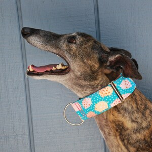 Piggy Martingale Collar 2&quot;