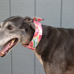 Watermelon Martingale Collar 2&quot;