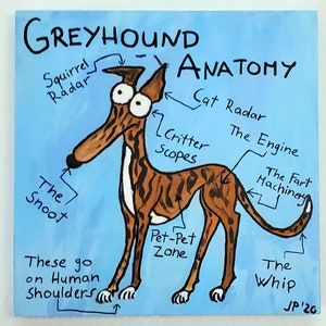 Cute greyhound original painting / Greyhound Anatomy / cute greyhound painting / cute greyhound artwork / greyhound gift / CUSTOMIZEABLE