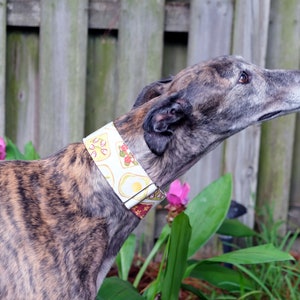 Avocado Toast Martingale Collar 2&quot;