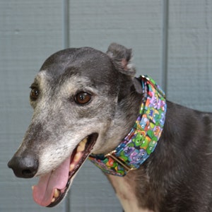 Rainbow Dogs Martingale Collar 2"