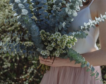 Fresh Ornamental Baby Blue Eucalyptus Two Bunches