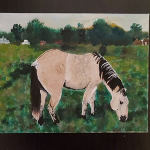 Personalized Pet Portraits