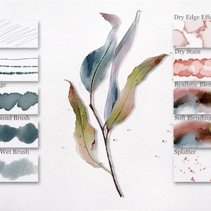 Realistic Watercolor Brushes for Procreate , Watercolor Brush Set , Digital Watercolor | Naomi Simbolon image 7