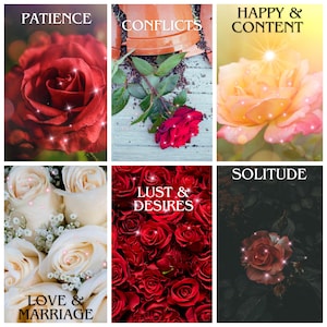 Roses of Love Oracle | Twin Flame | Soulmate | Love Situations | Pre Order