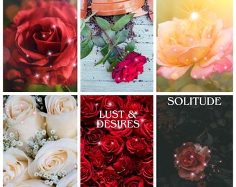 Roses of Love Oracle | Twin Flame | Soulmate | Love Situations | Pre Order