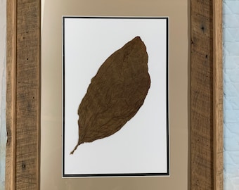 how to draw tobacco step by step Tobacco pipe drawing easy step by step for beginners how to draw tobacco step by step Tobacco pipe drawing easy step by step for beginners