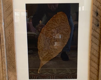 framed tobacco leaf Leaves Print | Hand Pressed which ensures the finest quality of printing Tobacco Leaf Painting Red Black