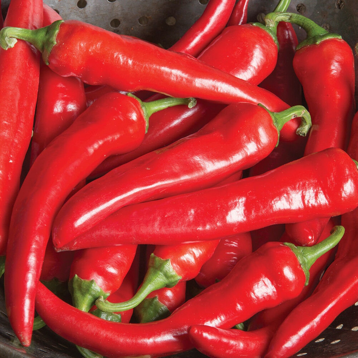 Cayenne Large Red Thick Pepper Seeds NONGMO Variety Sizes Etsy