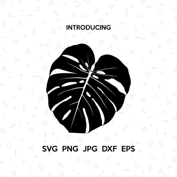 Leaf Monstera SVG File. Templates Monstera SVG. Monstera | Etsy