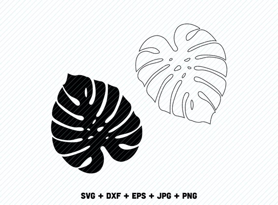 Download Monstera Svg Monstera Cricut Monstera Cut File Monstera Etsy