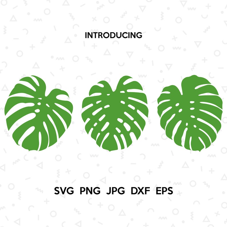 Download Bundle Monstera. Monstera SVG. Monstera digital files ...