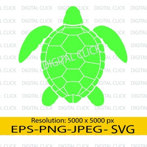 Turtle Svg, Esp, Png, Jpg File Instant Download  for Cricut and Silhouette