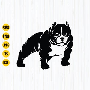 American Bully SVG: Plik wektorowy Pitbulla do cięcia (pobieranie cyfrowe)