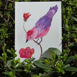 pássaro rosa, cartão postal por aquarela