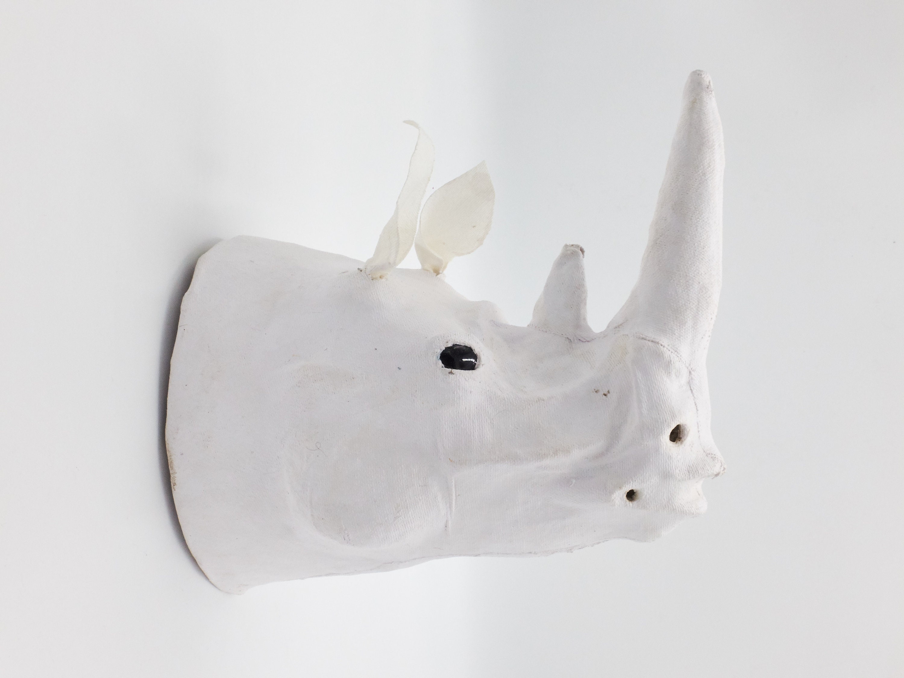 Tête de Rhinocéros