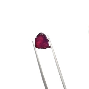 May include: A raw, uncut gemstone held by silver tweezers. The gem is a deep, translucent red-purple color with a rough, irregular shape. The background is plain white, highlighting the gem's natural beauty.