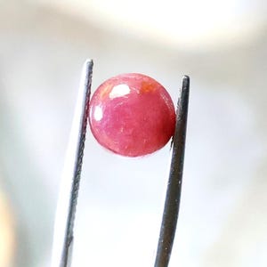 May include: A spherical, polished gemstone held by silver tweezers. The gem is a vibrant pink with subtle orange and white highlights. The smooth surface reflects light, showcasing its shape. This gemstone is likely used in jewellery.
