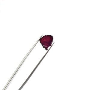May include: A deep red, irregularly shaped gemstone is held by a pair of silver tweezers against a white background. The gem has a translucent quality, with a slightly uneven surface. The tweezers are positioned diagonally, showcasing the gem's unique form.