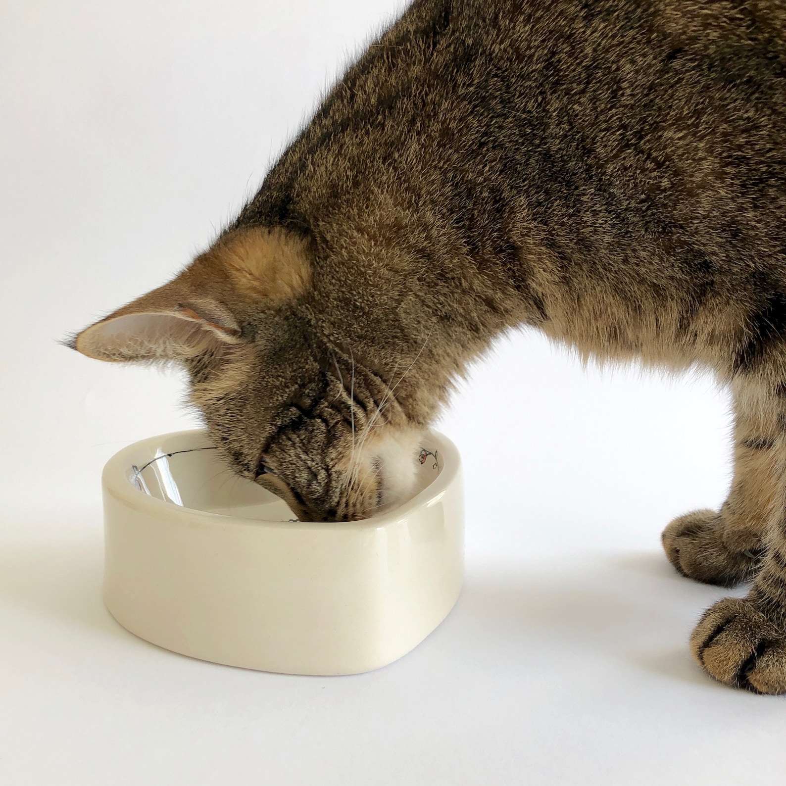 Personalized ceramic cat bowl handpainted Etsy