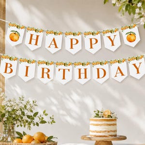 May include: A two-row banner featuring white pennant flags with orange fruit and green leaf illustrations at the top. The letters spell out HAPPY BIRTHDAY in a bold orange serif font. The banner is strung on a thin white cord.