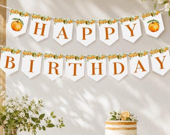 Editable Little Cutie First Birthday Banner, Orange Happy Birthday Banner, Summer Birthday Party Decor, Instant Download. O003