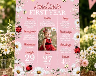 A Little Love Bug Birthday Milestone Photo Sign, Ladybug 1st Birthday Poster, Printable Baby Stats Board for Girl First Birthday Sign. L009