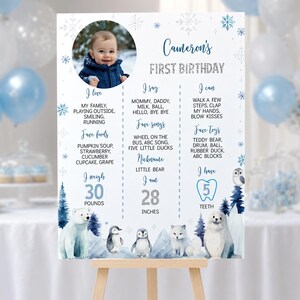 Pu&ograve; includere: Un cartello di compleanno bianco con una foto circolare di un bambino, fiocchi di neve blu e animali artici ad acquerello. Il testo include Cameron's First Birthday, I love, I say, I can, Fave foods, Fave songs, Nickname, I am, I weigh 30 pounds, I am 28 inches e I have 5 teeth.