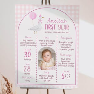 EDITABLE One Silly Goose Birthday Milestone Board, Girl 1st Birthday Milestone Photo Sign, Silly Goose Birthday Milestone, Printable. G006