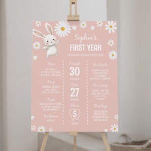 Plaque MODIFIABLE pour le premier anniversaire de la marguerite, affiche de lapin un an de bébé, tableau floral de fête d'anniversaire de lapin, modèle imprimable. B017