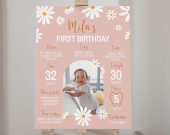 Daisy 12 Monthly Photo Banner - First Birthday Decor, Groovy One Milestone Banner - View #6