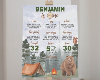 Camping First Birthday Milestone Poster, One Little Camper Birthday Milestone, Woodland 1st Milestone Board, Printable Template C006