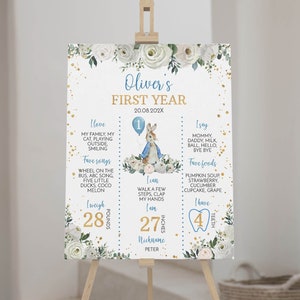 BEWERKBARE Peter Rabbit mijlpaal bord, Peter Rabbit 1e verjaardag mijlpaal poster, jongen verjaardag mijlpaal teken, Instant Download P007