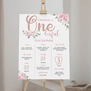 Cartello MODIFICABILE per il primo compleanno, poster per il primo compleanno Onederful, lavagna per il compleanno di Little Miss Onederful, download immediato F007