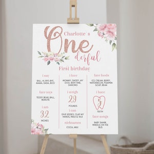 EDITABLE 1st Birthday Milestone Sign, Onederful Birthday Milestone Poster, Little Miss Onederful Birthday Chalk Board, Instant Download F007