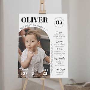 EDITABLE First Birthday Milestone Sign, Modern 1st Birthday Milestone Poster, One Year Photo Baby Milestone Board, Printable Template. #M004