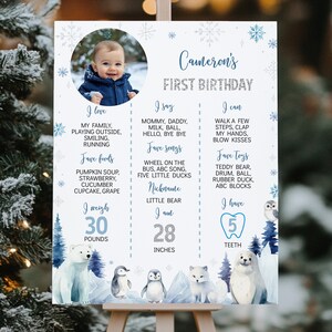 Pu&ograve; includere: Un cartello di compleanno bianco con una foto circolare di un bambino, fiocchi di neve blu e animali artici ad acquerello come un orso polare, pinguini e una foca. Il testo elenca dati come un peso di 30 libbre e 28 pollici di altezza.