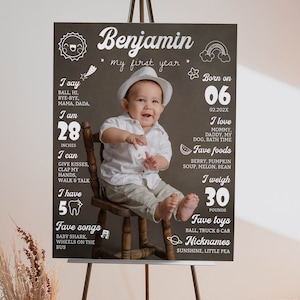 EDITABLE First Birthday Milestone Sign, 1st Birthday Photo Milestone Poster, One Year Of Baby Milestone Board, Printable Template. MI02