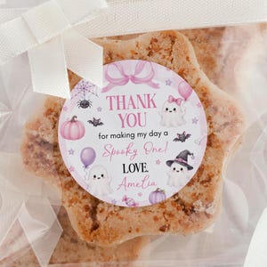 May include: A star-shaped cookie in a clear plastic bag tied with a white ribbon. A round sticker features pink text reading THANK YOU for making my day a Spooky One! LOVE. Amelia, with illustrations of ghosts, a pumpkin, a spider web, and bats.