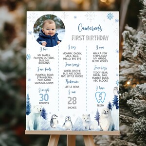 Pu&ograve; includere: Un cartello bianco per il primo compleanno con una foto circolare di un bambino, fiocchi di neve blu e illustrazioni di animali invernali tra cui un orso polare, pinguini e una foca. I dettagli includono 30 libbre di peso e 28 pollici.