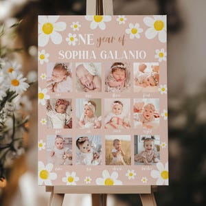 Collage photo modifiable de la première année, bannière photo de 12 mois, jalon de la première année de bébé, affiche du premier anniversaire de la marguerite, modèle imprimable. D017