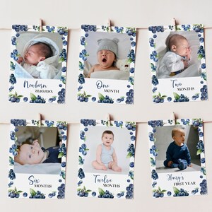 Banner fotográfico de arándanos, banner de primer cumpleaños de Berry Sweet, tarjeta de hito mensual del primer año del bebé, decoración de arándanos, plantilla imprimible. B013