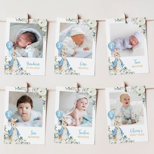 Banner fotografico modificabile per il primo anno, banner fotografico per i 12 mesi, decorazione per il compleanno di Peter Rabbit, banner fotografico per il primo compleanno di un bambino, stampabile. P007