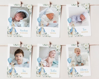 Vintage Bunny First Year Photo Banner, 12 Months Photo Banner, Classic Rabbit Birthday Decor, Boy 1st Birthday Photo Banner, Printable. P007