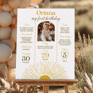 EDITABLE First Trip Around The Sun Milestone Board, Sunshine 1st Birthday Sign, Boho Sun Birthday Milestone Poster, Printable Template. S011