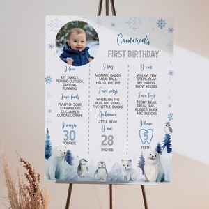 Pu&ograve; includere: Un cartello di compleanno bianco con una foto circolare di un bambino, fiocchi di neve blu e illustrazioni di animali artici come un orso polare, pinguini e una foca. Il testo recita Cameron's First Birthday, I love, I say, I can, I weigh 30 pounds, I am 28 inches e I have 5 teeth.