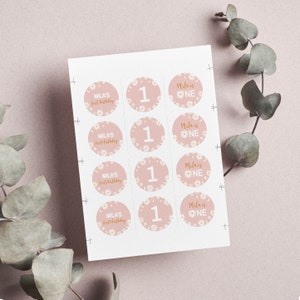 May include: A sheet of twelve circular stickers with a dusty pink background and white daisy pattern. The stickers feature the text Mila's first birthday, the number 1, and the text Mila is ONE in white and gold script and block lettering.